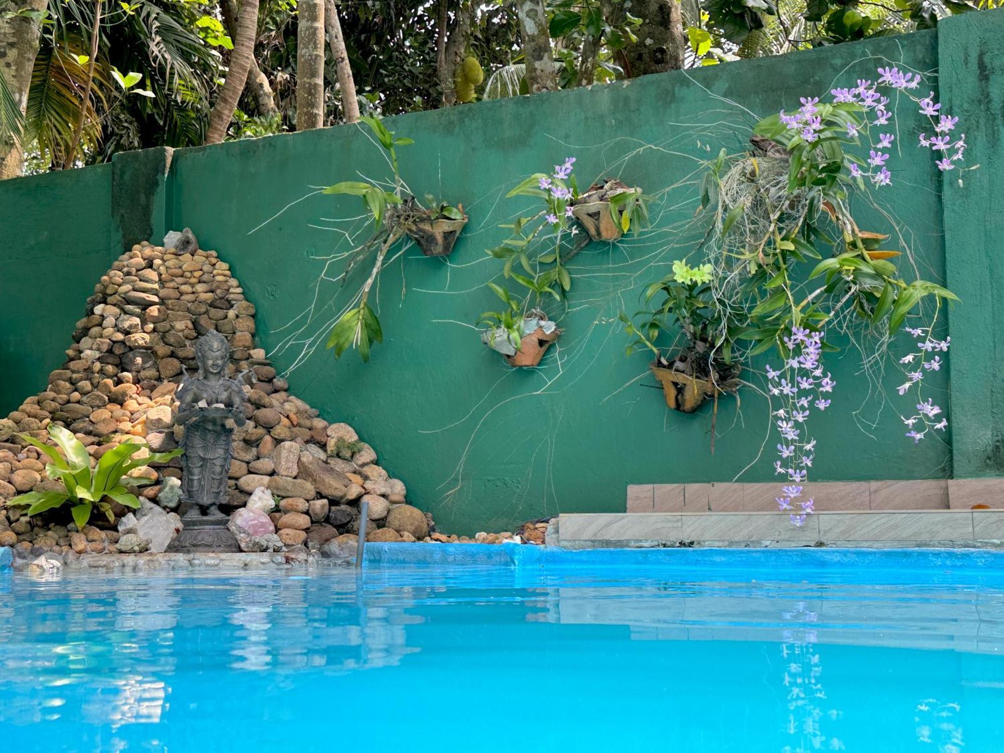 Swastha Ayurveda Villa Хіккадува Екстер'єр фото