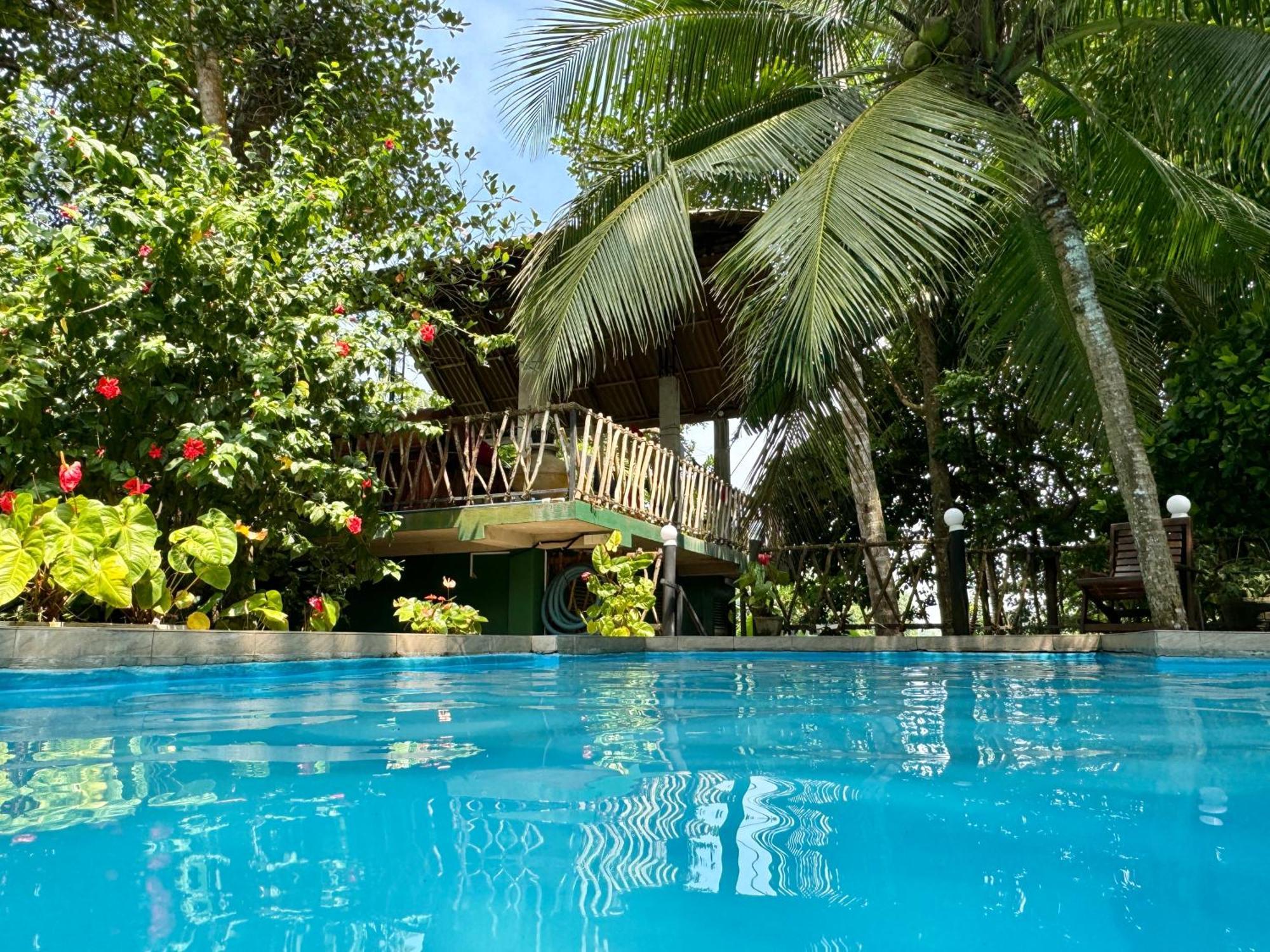 Swastha Ayurveda Villa Хіккадува Екстер'єр фото