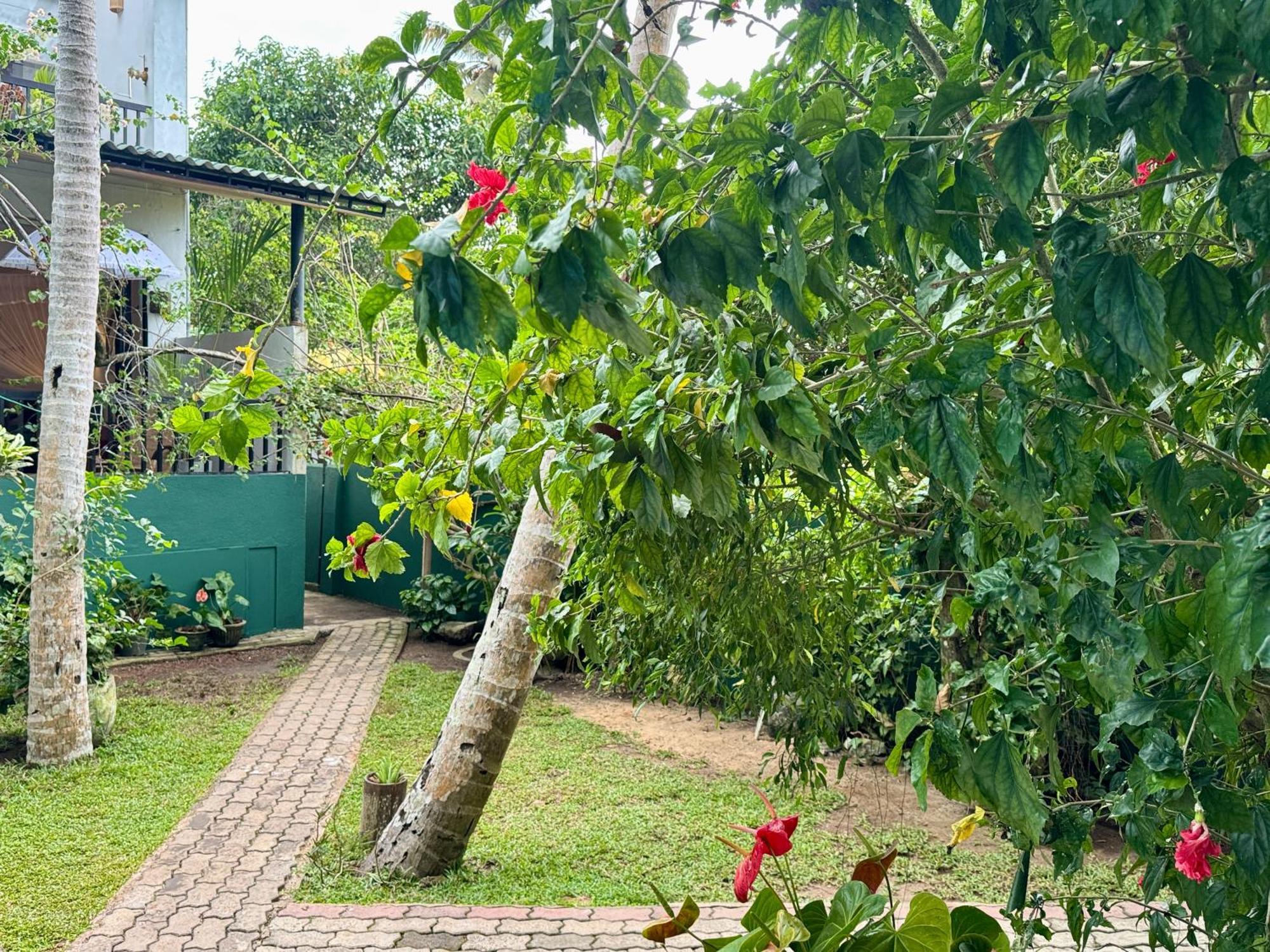 Swastha Ayurveda Villa Хіккадува Екстер'єр фото